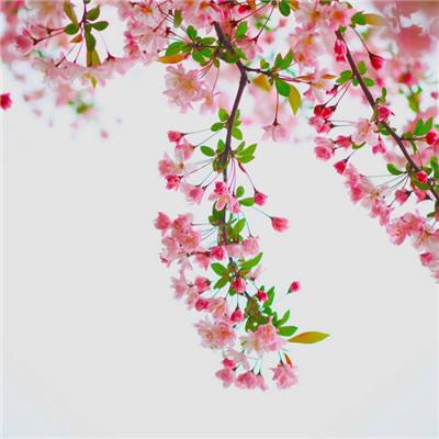 战魂online破解版下载